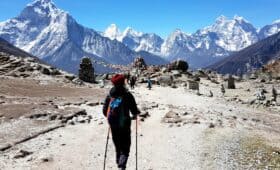 Top 8 Things to Expect from Everest Base Camp Trek!