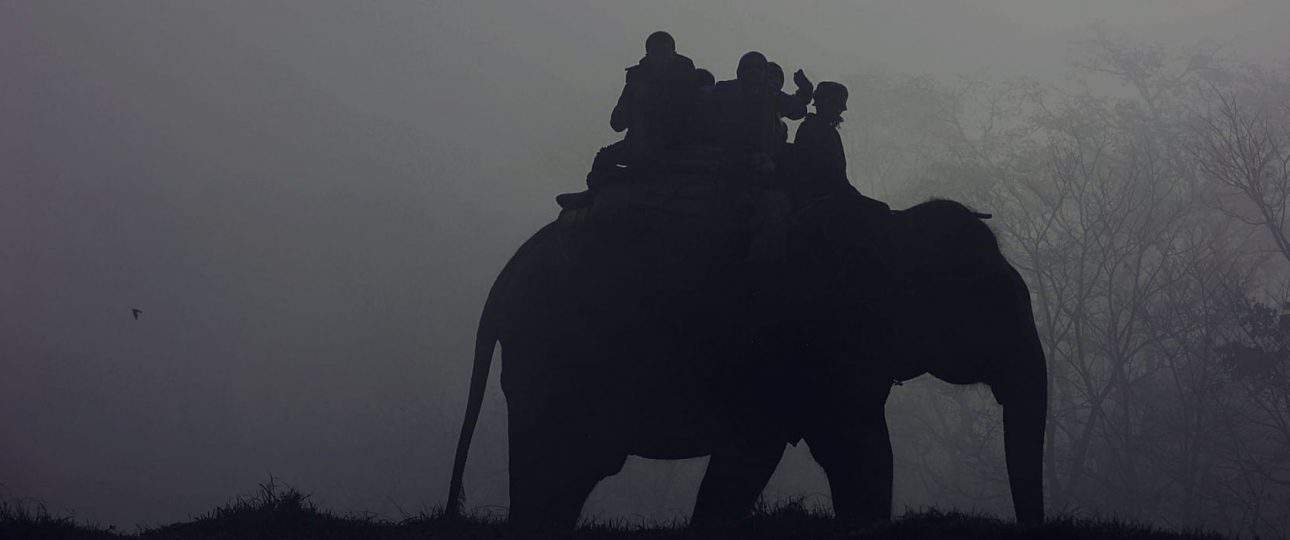 Mosaic Adventure no longer offers Elephant Riding tours