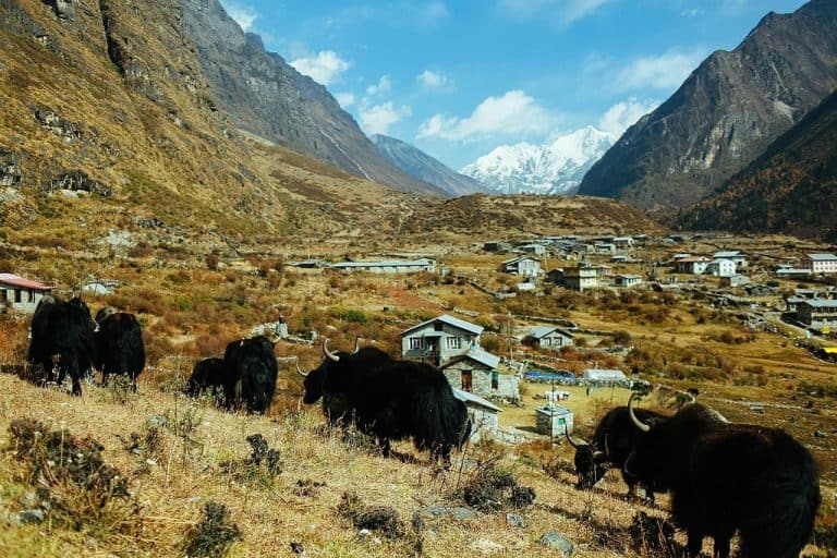 15 Best Treks in Nepal | Trekking Destinations Not to Miss out