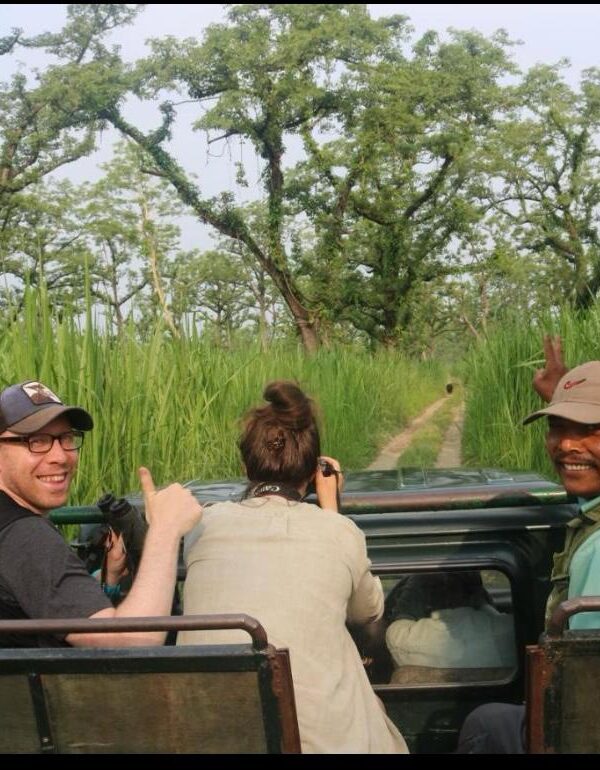 jeep safari during chitwan national park jungle safari tour