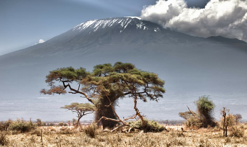kilimanjaro trek