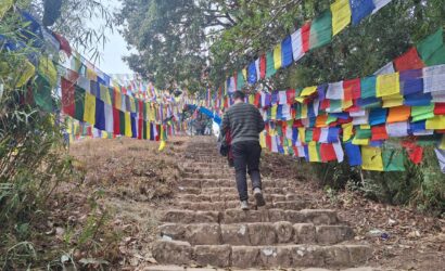 12 Top Full Day Tours in Kathmandu